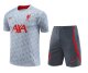 23/24 Liverpool Training Set-GreyTraining Tracksuit