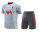 23/24 Liverpool Training Set-GreyTraining Tracksuit