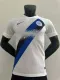 23/24 Inter Milan Away Jersey Player Version  1:1 Quality