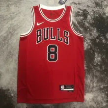 NBA Men 2023 Chicago Bulls Red #8 LAVINE Jersey High Quality Name and Number Print