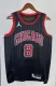 NBA Men 2023 Chicago Bulls Black with Jordan Logo #8 LAVINE Jersey High Quality Name and Number Print