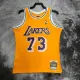 NBA Men Season 98-99 Los Angeles Lakers Yellow #73 RODMAN Jersey High Quality Name and Number Print