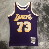 NBA Men Season 98-99 Los Angeles Lakers Purple #73 RODMAN Jersey High Quality Name and Number Print