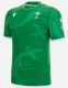 Rugby 2022-2023 Welsh Green Rugby Jersey High Quality
