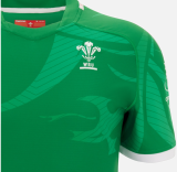 Rugby 2022-2023 Welsh Green Rugby Jersey High Quality