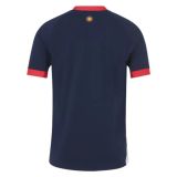 Rugby World Cup 2023 Argentina Away Rugby Jersey High Quality