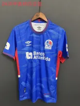 2024 Olympia Dula Third Soccer Jersey Thai Quality