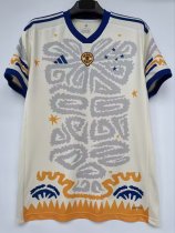 23/24 Cruzeiro Special Jersey 1:1 Quality