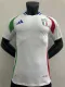 2024 Italy Away Soccer Jersey Player Version  1:1 Quality