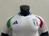 2024 Italy Away Soccer Jersey Player Version  1:1 Quality