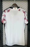 22/23 Japan Away World Cup Jersey Fans Version