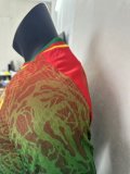 23/24 Cameroon Special Jersey Player Version 1:1 Quality