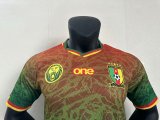 23/24 Cameroon Special Jersey Player Version 1:1 Quality