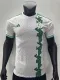 24/25 Algeria Home Jersey Player Version Thai Quality
