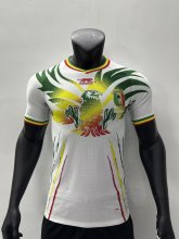 2023 Mali Home Jersey Player Version Thai Quality 彪马面料