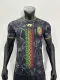 2024 Mali Third Jersey Player Version Thai Quality 耐克面料