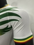 2023 Mali Home Jersey Player Version Thai Quality 彪马面料