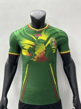 2023 Mali Away Jersey Player Version Thai Quality 彪马面料