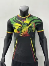 2023 Mali Third Jersey Player Version Thai Quality 耐克面料