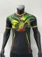 2023 Mali Third Jersey Player Version Thai Quality 耐克面料