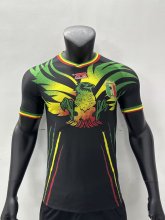 2023 Mali Third Jersey Player Version Thai Quality 彪马面料