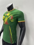 2023 Mali Away Jersey Player Version Thai Quality 耐克面料