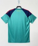 2010 Spain Goalkeeper Green Fans Version Retro Jersey