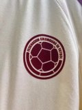 Colombia cotton T-shirt Fans Version