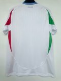 24/25 Italy Away Soccer Jersey Fans Version  1:1 Quality
