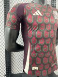 24/25 Mexico Home Jersey Player Version 1:1 Quality