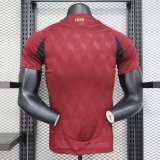 24/25 Belgium Home Soccer Jersey Player Version  1:1 Quality