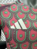 24/25 Mexico Home Jersey Player Version 1:1 Quality