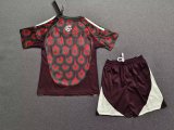 24/25 Mexico Home Kids Jersey