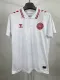 24/25 Denmark Away Soccer Jersey Fans Version