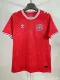 24/25 Denmark Home Soccer Jersey Fans Version