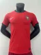 24/25 Portugal Home Soccer Jersey Player Version  1:1 Quality