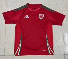 24/25 Welsh Home Soccer Jersey Fans Version  1:1 Quality