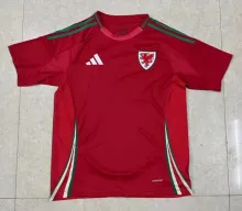 24/25 Welsh Home Soccer Jersey Fans Version  1:1 Quality
