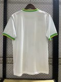 24/25 Brazil Special Jersey  1:1 Quality Thai Quality
