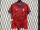 24/25 Czech Home Soccer Jersey Fans Version  1:1 Quality