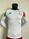 24/25 Italy Away Soccer Jersey Long Sleeve Player Version  1:1 Quality