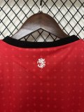 24/25 Georgia Away Fans Soccer Jersey  2078