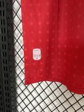 24/25 Georgia Away Fans Soccer Jersey  2078