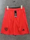 24/25 Bayern Red Pants shorts