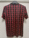 24/25 Man United Training Jersey Fans Version