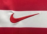 2010 Serbia Home Soccer Jersey Fans Version