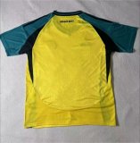 24/25 Jamaica Home Jersey Fans Version 1:1 Quality