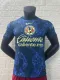 24/25 America Away Jersey Player Version 1:1 Quality