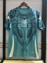 2024 Mexico Training Jersey Fans Version 1:1 Quality