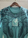 2024 Mexico Training Jersey Fans Version 1:1 Quality